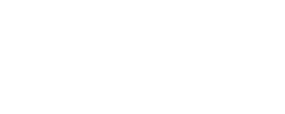Logo of dynasoft AG